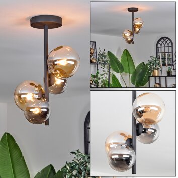 Chehalis Lámpara de Techo - Cristal 10 cm, 12cm Colores ámbar, Ahumado, 4 luces