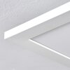 Valmanya Lámpara de Techo 40cm LED Blanca, 1 luz