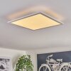 Valmanya Lámpara de Techo 40cm LED Blanca, 1 luz