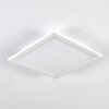Valmanya Lámpara de Techo 30 cm LED Blanca, 1 luz