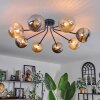 Chehalis Lámpara de Techo - Cristal 15 cm dorado, Negro, 8 luces