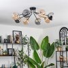 Chehalis Lámpara de Techo - Cristal 15 cm dorado, Negro, 8 luces