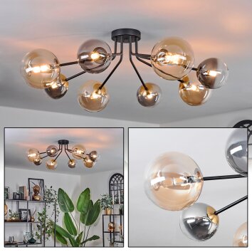 Chehalis Lámpara de Techo - Cristal 12 cm, 15 cm dorado, Negro, 8 luces