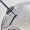 Ripoll Lámpara Colgante - Szkło 30 cm Transparente, Ahumado, 3 luces