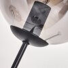 Gastor Lámpara de Pie - Szkło 15 cm Ahumado, 3 luces