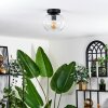 Apedo Lámpara de Techo - Cristal 20 cm Transparente, 1 luz