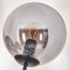 Gastor Lámpara de Pie - Szkło 15 cm Ahumado, 6 luces