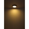 Globo BRANZA Lámpara de Techo LED Negro, 1 luz, Mando a distancia