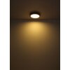 Globo BRANZA Lámpara de Techo LED Negro, 1 luz, Mando a distancia