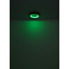 Globo BRANZA Lámpara de Techo LED Negro, 1 luz, Mando a distancia