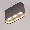 Dalarna Lámpara de Techo LED Gris, Plata, 1 luz