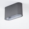 Dalarna Lámpara de Techo LED Gris, Plata, 1 luz