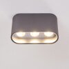 Dalarna Lámpara de Techo LED Gris, Plata, 1 luz