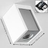 Braslo Lámpara de Techo Gris, Blanca, 1 luz