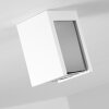 Braslo Lámpara de Techo Gris, Blanca, 1 luz