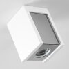 Braslo Lámpara de Techo Gris, Blanca, 1 luz