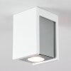 Braslo Lámpara de Techo Gris, Blanca, 1 luz