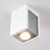 Braslo Lámpara de Techo Gris, Blanca, 1 luz