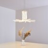 Bangor Lámpara Colgante LED Blanca, 1 luz