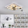 Minichu Lámpara de Techo LED Blanca, 1 luz, Mando a distancia