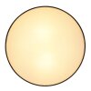 Globo INGEBORG Lámpara de Techo Negro, 2 luces