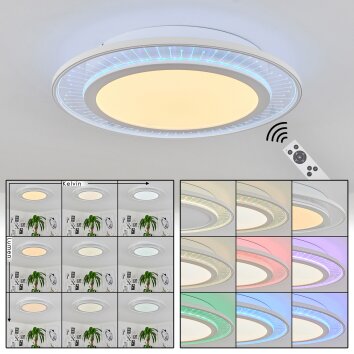 Haumonia Lámpara de Techo LED Blanca, 2 luces, Mando a distancia, Cambia de color