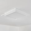 Haumonia Lámpara de Techo LED Blanca, 2 luces, Mando a distancia, Cambia de color