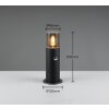 Trio HOOSIC Lámpara de pie para exterior Negro, 1 luz, Sensor de movimiento