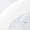 Brilliant Salerno Lámpara de Techo LED Blanca, 1 luz, Mando a distancia