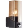 Brilliant Minou Aplique para exterior Negro, 1 luz