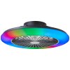 Brilliant Salerno Lámpara de Techo LED Negro, 1 luz, Mando a distancia
