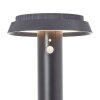 Brilliant Alvero Lámpara de pie para exterior LED Negro, 1 luz, Sensor de movimiento