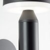 Brilliant Magua Aplique para exterior LED Negro, 1 luz