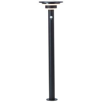 Brilliant Garvina Lámpara de pie para exterior LED Negro, 1 luz, Sensor de movimiento