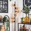 Gastor Lámpara de Pie - Cristal 15 cm Colores ámbar, 6 luces