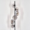 Gastor Lámpara de Pie - Szkło 15 cm Transparente, Ahumado, 6 luces