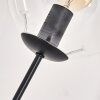 Gastor Lámpara de Pie - Szkło 15 cm Transparente, 3 luces