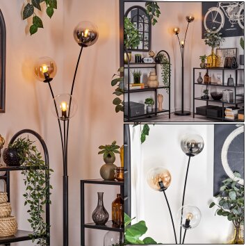 Gastor Lámpara de Pie - Cristal 15 cm Colores ámbar, Transparente, Ahumado, 3 luces