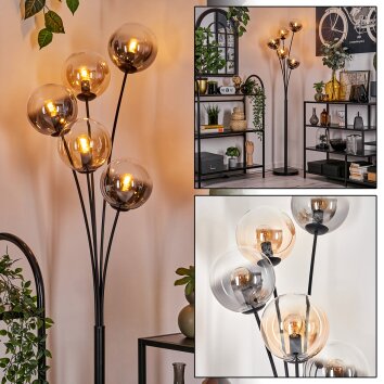 Gastor Lámpara de Pie - Cristal 15 cm Colores ámbar, Transparente, Ahumado, 5 luces