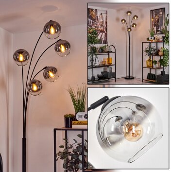 Koyoto Lámpara de Pie - Cristal 15 cm Transparente, Ahumado, 5 luces