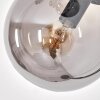 Gastor Lámpara de Pie - Szkło 15 cm Ahumado, 5 luces