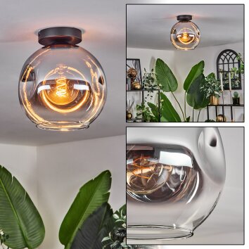 Ripoll Lámpara de Techo - Cristal 25 cm Cromo, Transparente, 1 luz