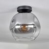 Ripoll Lámpara de Techo - Szkło 25 cm Transparente, Ahumado, 1 luz