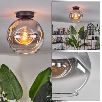 Ripoll Lámpara de Techo - Szkło 25 cm Transparente, Ahumado, 1 luz Ripoll Lámpara de Techo - Szkło 25 cm Transparente, Ahumado, 1 luz