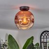 Ripoll Lámpara de Techo - Szkło 25 cm Transparente, Color cobre, 1 luz