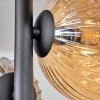 Chehalis Lámpara de Techo - Cristal 10 cm, 12cm, 15cm Colores ámbar, Ahumado, 8 luces