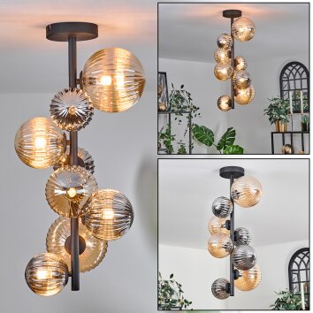 Chehalis Lámpara de Techo - Cristal 10 cm, 12cm, 15cm Colores ámbar, Ahumado, 8 luces
