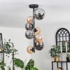 Chehalis Lámpara de Techo - Cristal 10 cm, 12cm, 15cm Colores ámbar, Ahumado, 8 luces