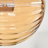 Chehalis Lámpara de Techo - Szkło 10 cm, 12cm, 15cm Colores ámbar, Ahumado, 8 luces