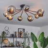 Chehalis Lámpara de Techo - Cristal 12 cm, 15 cm dorado, Negro, 8 luces
